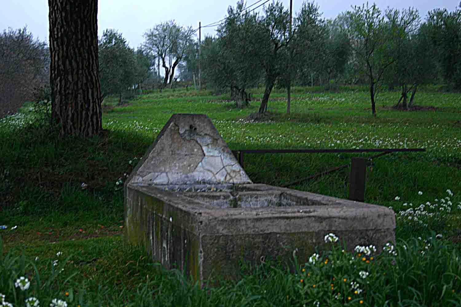 Fontanili del Lazio